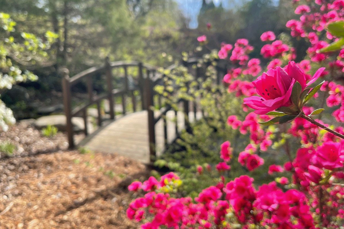 American Public Gardens Association (PublicGardens) / Twitter