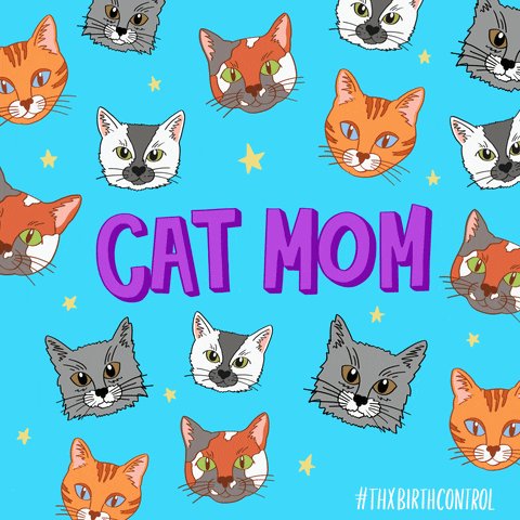 call_me_kitty_cat