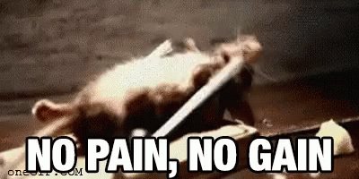 No Pain No Gain Workout GIF