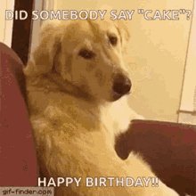   HAPPY BIRTHDAY  , Sandra!! 