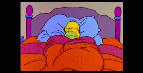 Homer Simpson The Simpsons GIF