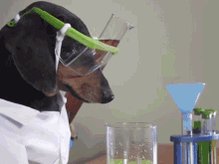 Oakley Sciencedog GIF