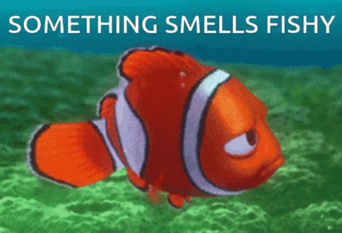 Something Smells Fishy Fish...
