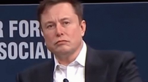 Spacejunkie Elon GIF