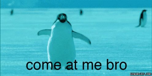 Penguins Come At Me Bro GIF