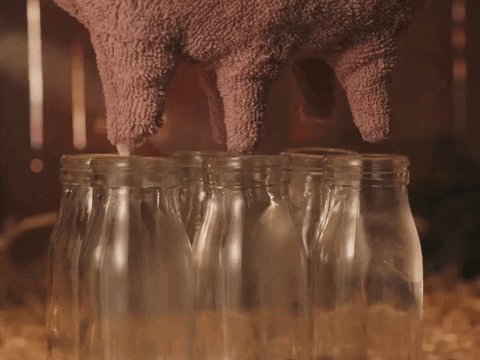 Dairy Farm Milk GIF by Rex ...
