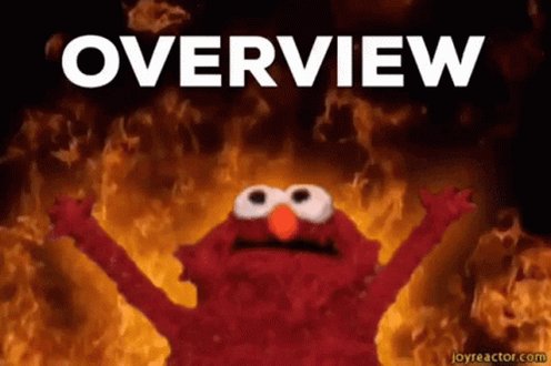 Overview Elmo GIF