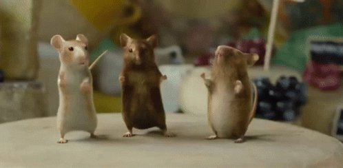 Dancing Mice Dancing Mouse GIF