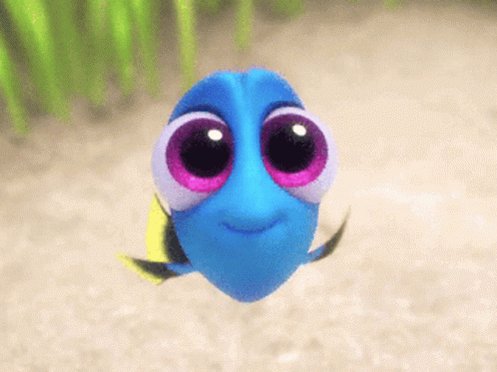 Finding Dory Dory GIF