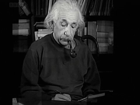 albert einstein GIF