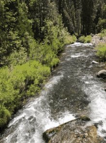 River Go With The Flow GIF