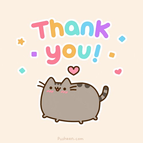 Thank you (cat)