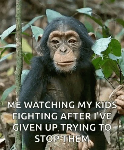 Monkey Eating GIF