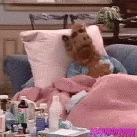 So, jetzt hat es mich erwischt. Lieg mit Husten, Schnupfen und Fieber im Bett. Was für ein Start in die
