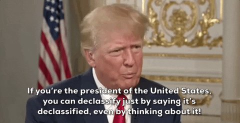 Donald Trump GIF by GIPHY News