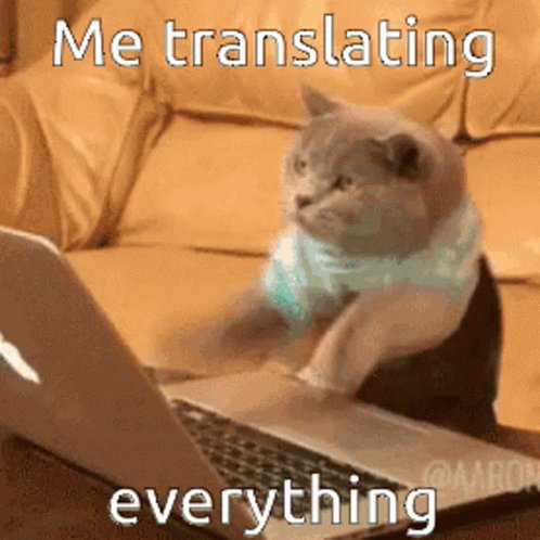 Me Translating Everything C...