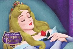 Walt Disney Sleeping Beauty...