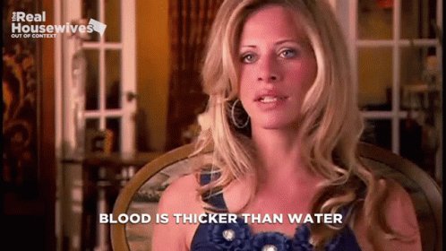 Real Housewives Housewives GIF