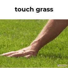 go touch grasss meme｜TikTok Search