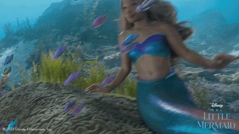 The Little Mermaid GIF by W...