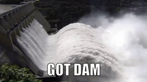 Got Dam GIF