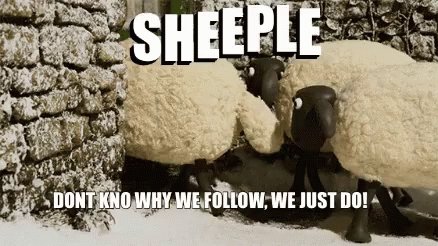 Sheeple Sheep GIF