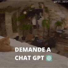 Demande A Chat Gpt Ia GIF