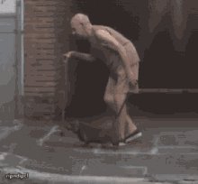Dog Walk GIF
