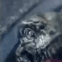 Raw Porn Moments on Twitter: "So this can be interpreted as selfcest now"