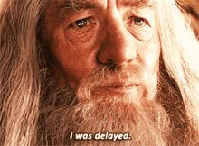 Gandalf Delayed GIF