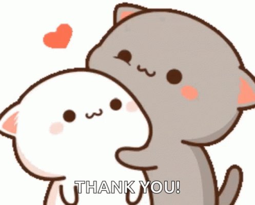 Cat Cute GIF