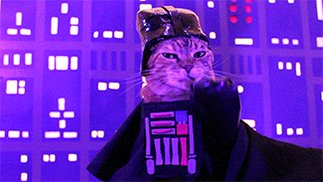 Hi guys!! ? I just posted new Star Wars stuff on my free ramen shops, you know where to find them ?

It’s