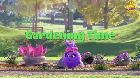 Summer Time Lol GIF by Sunn...