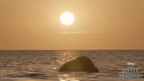 I saw The Little Mermaid last night and I Fucking LOVED IT!!!!! I Repeat  ?️?  I FUcking Loved IT ? https://t