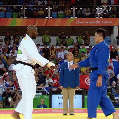 Shake Hands Teddy Riner GIF