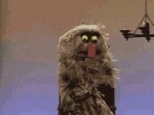 Muppet Show Muppets GIF