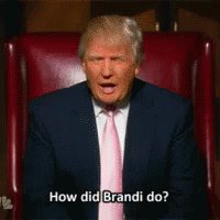 The Apprentice GIF