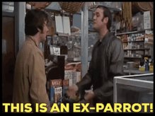 Monty Python Dead Parrot GIF