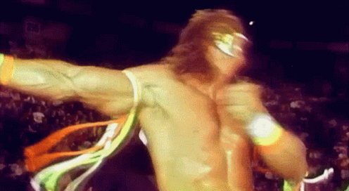 Warrior Ultimate GIF