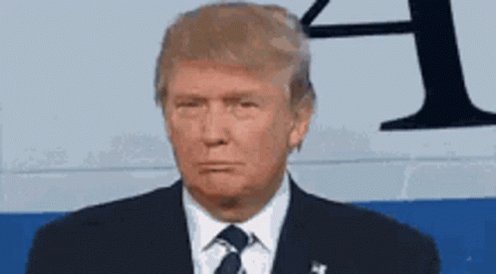 Trump Donald Trump GIF