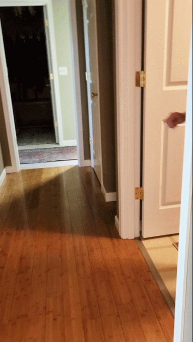 Oh, Hi there!  LOL!  😄  Like and RT!  😋 #marierocks  #Seattle @marierocksxxx     https://t.co/G2S22kpHMK<a href="/tag/marierocks"class="tags">#marierocks</a><a href="/tag/seattle"class="tags"><span>#seattle</span></a>