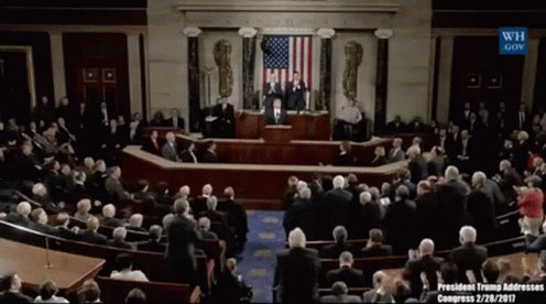 Congress GIF