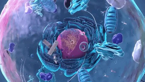 Evolution Biology GIF by PB...