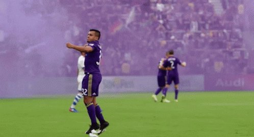 Orlando City Sc Lions GIF