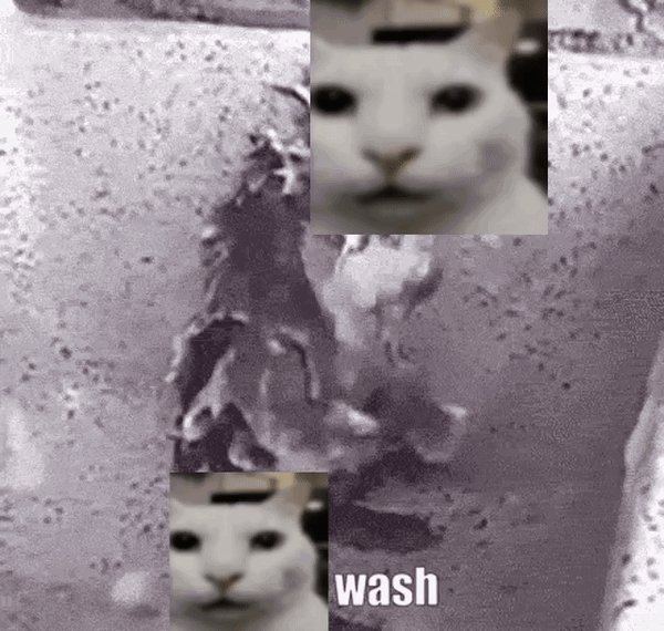 doge-on-twitter-rt-cato-collector-reminder-to-wash-yourself-everyday