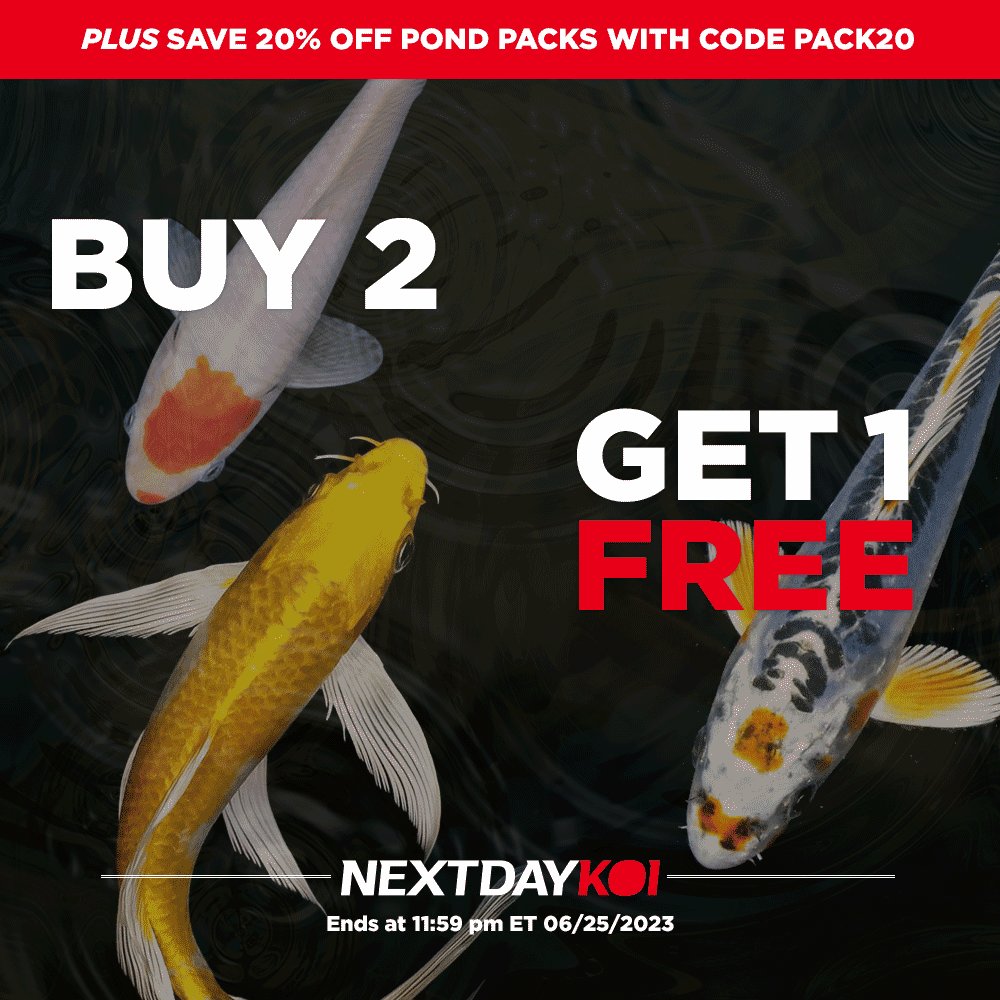 NextDayKoi on Twitter "🔥 Our June Savings Are Heating Up 🔥 Through