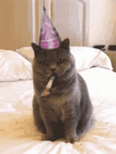 Happy birthday !! 