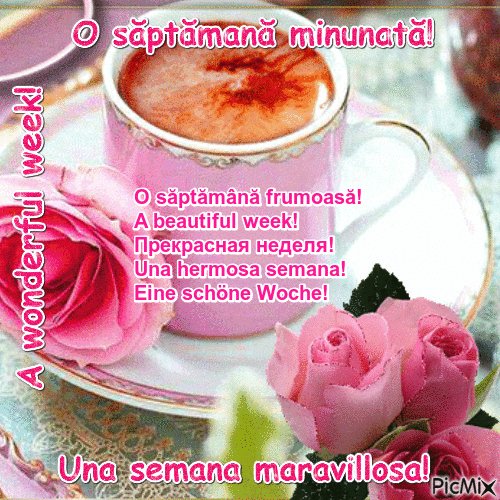 Tweet media four