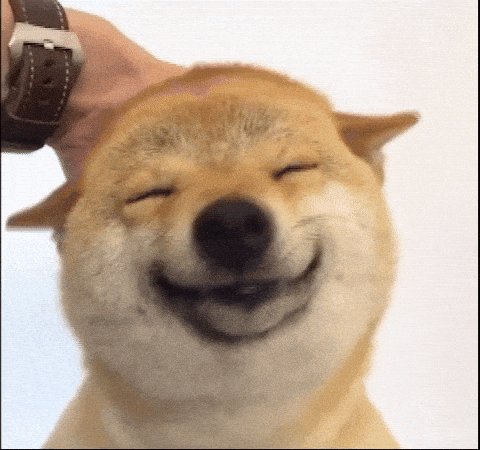 犬ドージ かぼす (犬) - Wikipedia