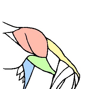 ユキページ ユキ様専用 ゆき様☆専用ページ ぽよ様 専用 （ゆなぽよ様